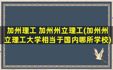 加州理工 加州州立理工(加州州立理工大学相当于国内哪所学校)